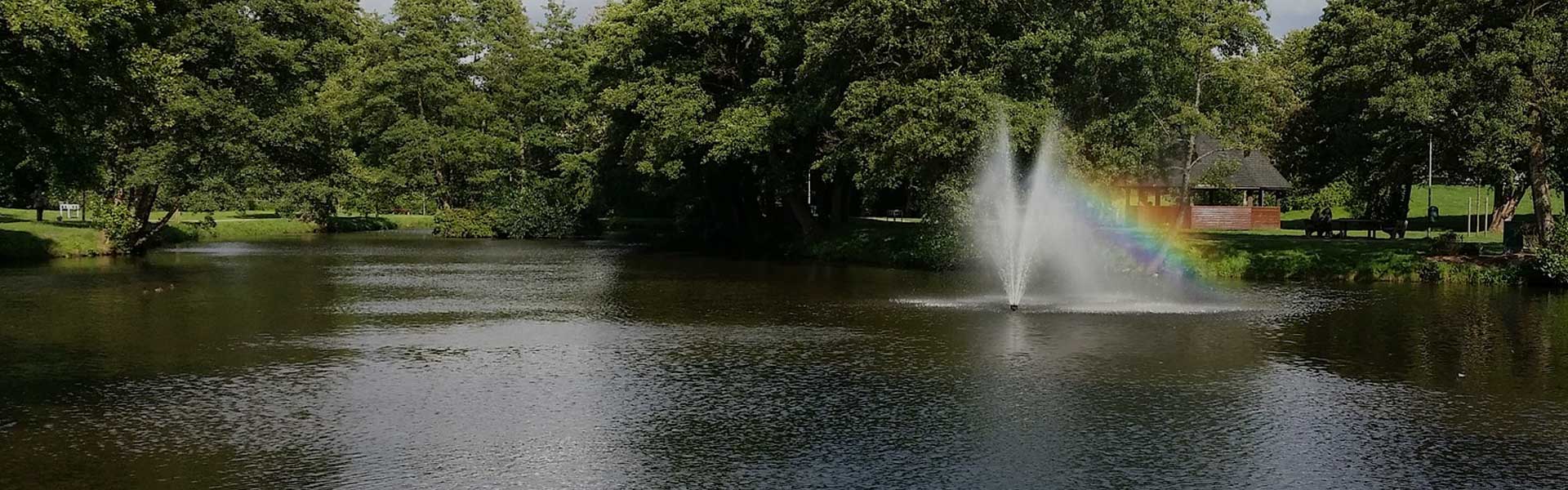 Rochester Pond Maintenance, Cleaning & Repair